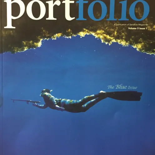 Portfolio Magazine cover